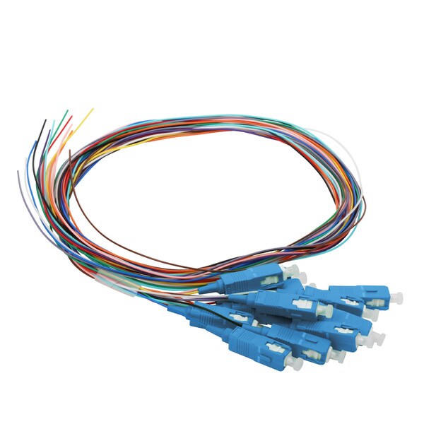 12 Fiber Pigtail, SC/UPC, 900 µm, 9 µm OS2, 1m
